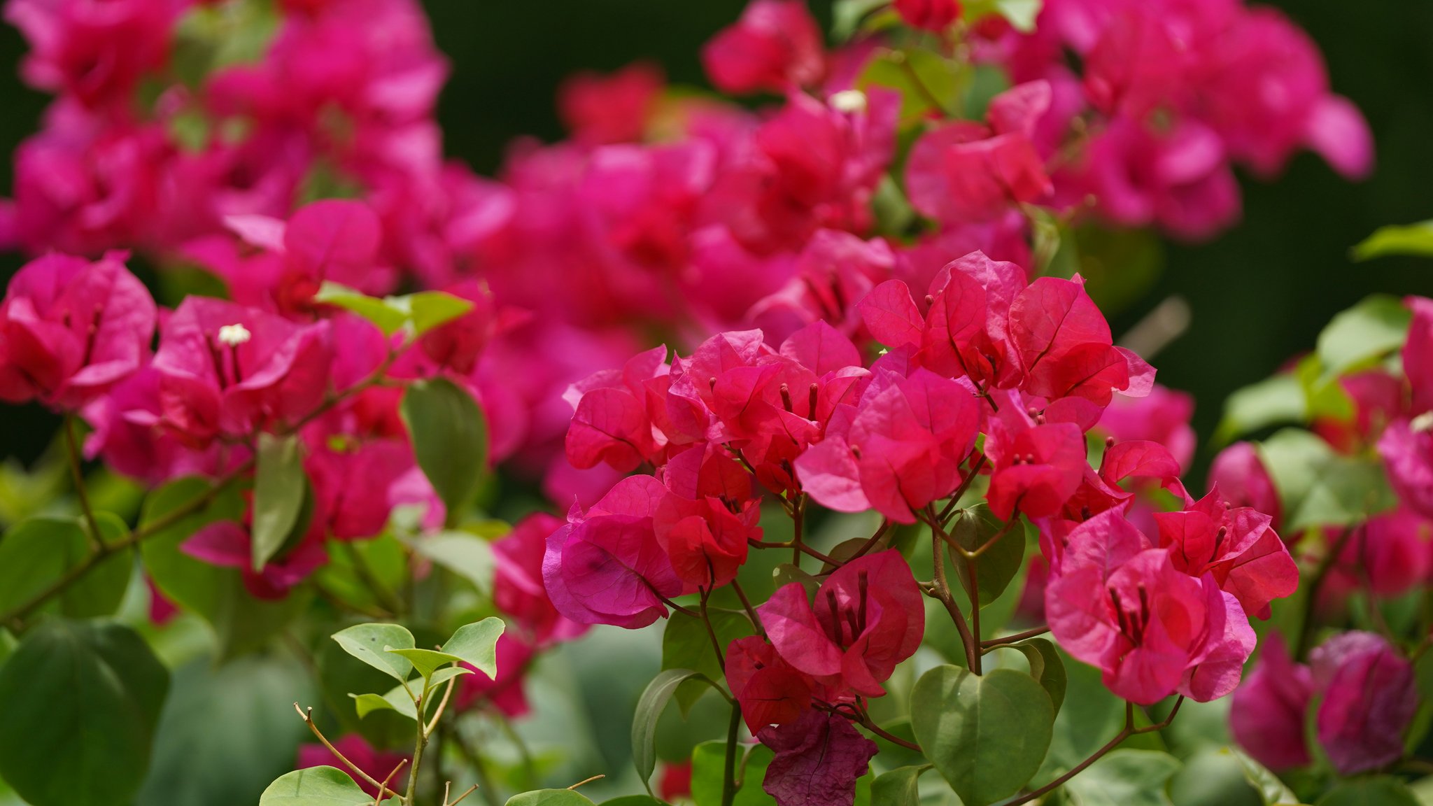 Screenshot comparing successful vs failed trial experiences